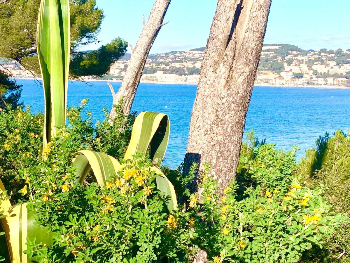 La Plage A 5 Minutes A Pied, Calme Et Verdure サナリー・シュル・メール エクステリア 写真